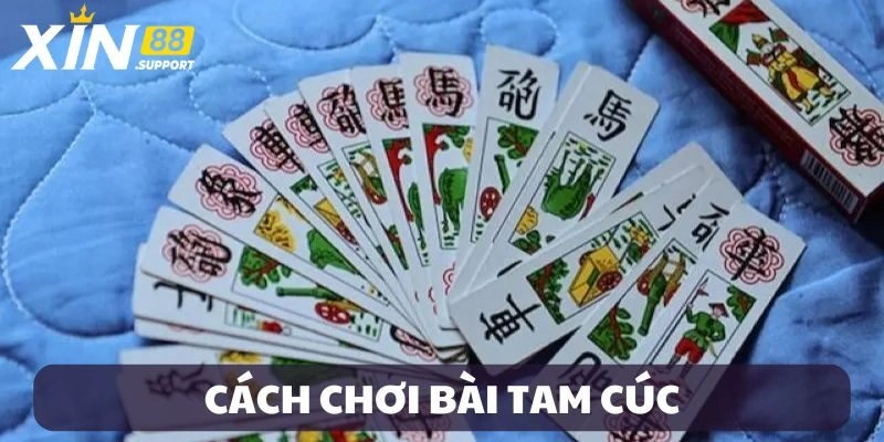 Hướng dẫn cách chơi bài Tam Cúc siêu dễ
