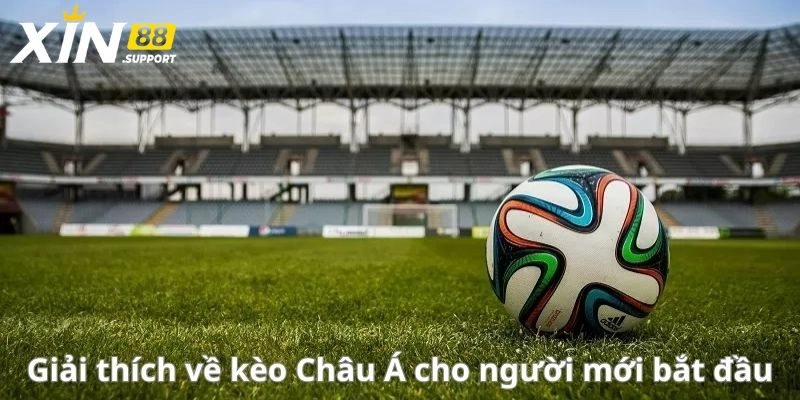 Tìm hiểu về kèo châu Á siêu hấp dẫn