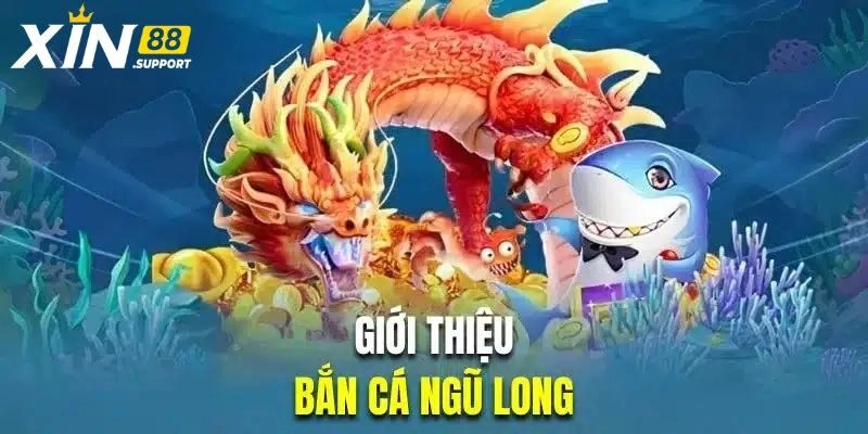 Giới thiệu vài nét về bắn cá Ngũ Long