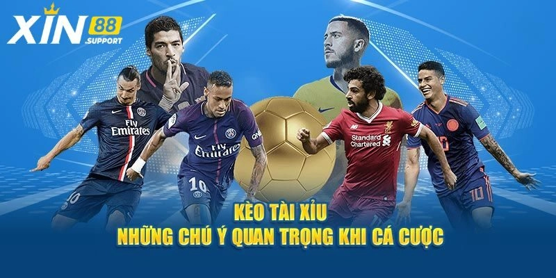 Kèo Tài Xỉu Hôm Nay - Bí Quyết Cá Độ Từ Chuyên Gia Xin88