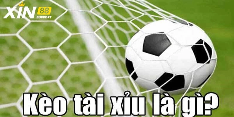 Tìm hiểu về kèo tài xỉu hôm nay