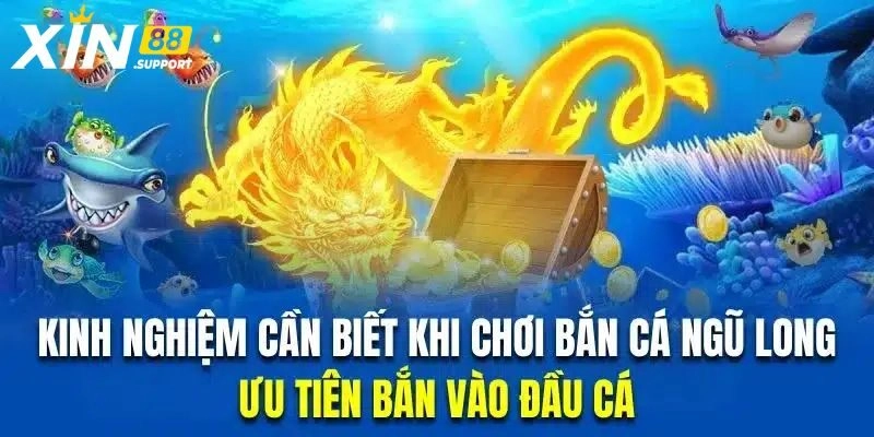 Tổng hợp bí quyết chơi bắn cá Ngũ Long thắng lớn