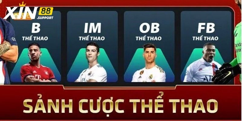 Vì sao IM thể thao được hội viên yêu thích?