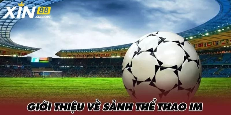 Tổng quan về sảnh IM thể thao đặc sắc