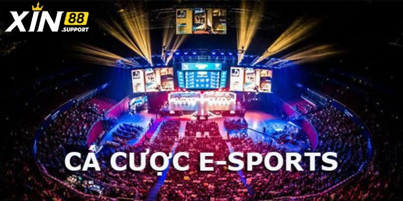 Cá Cược eSports - Game Online Mới Mẻ Và Hấp Dẫn Tại Xin88