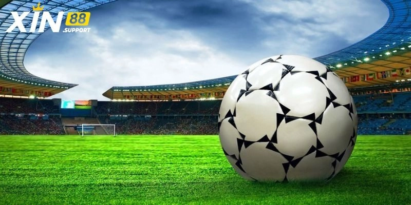 Kèo Châu Á - Tổng Hợp Các Loại Cá Độ Siêu Hấp Dẫn Tại Xin88