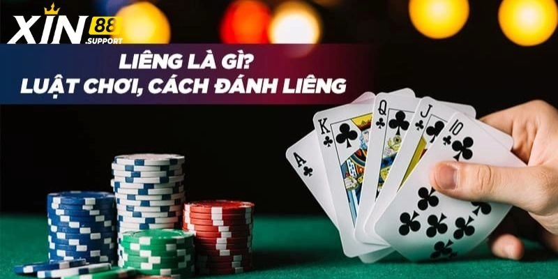 Các lựa chọn cược