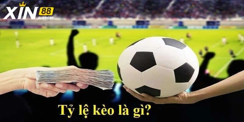 Tìm hiểu tổng quan về tỷ lệ kèo 5